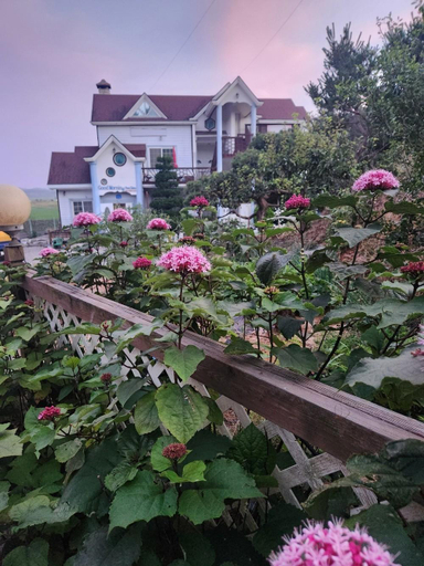 Others 1, Good Morning Pension, Taean