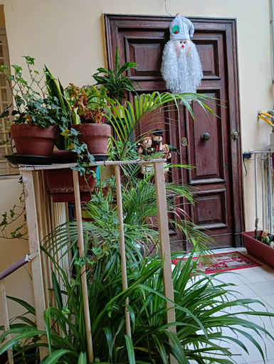 Others 3, LA CASA DEL RIONE SANITA’, Napoli