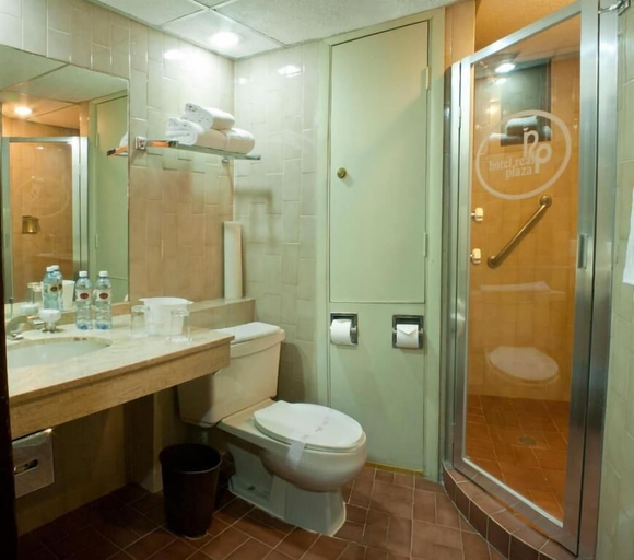 Bathroom 5, Hotel Real Plaza, San Luis Potosí