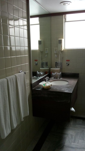 Bathroom 4, Segovia Regency Hotel, Mexico City