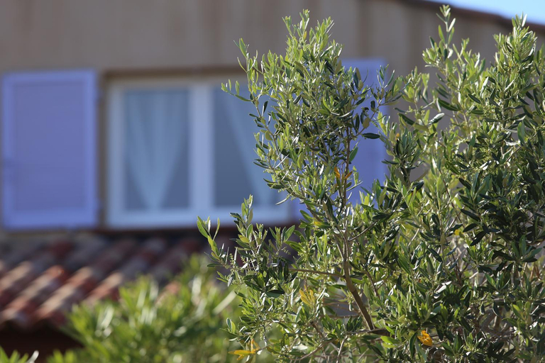 Others 3, Casa Mia, Corse-du-Sud