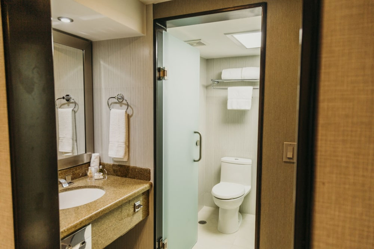 Bathroom 5, Araiza Mexicali, Mexicali