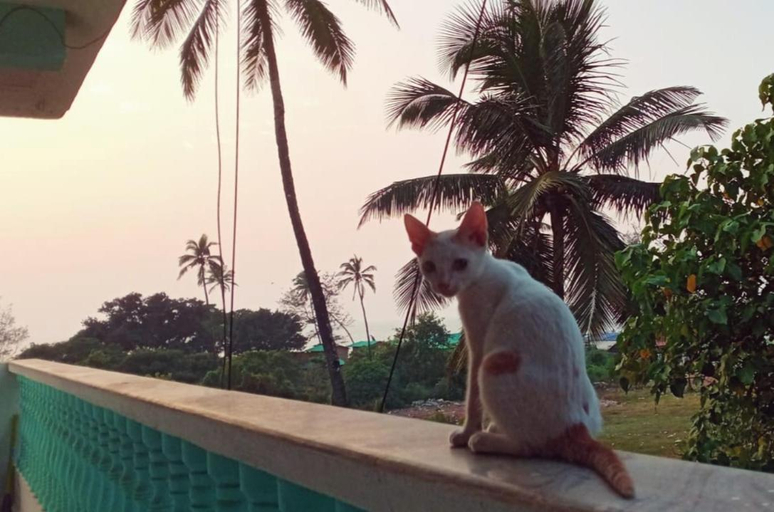 Others 5, Dreamcatcher House & Hostel at Arambol Beach, North Goa