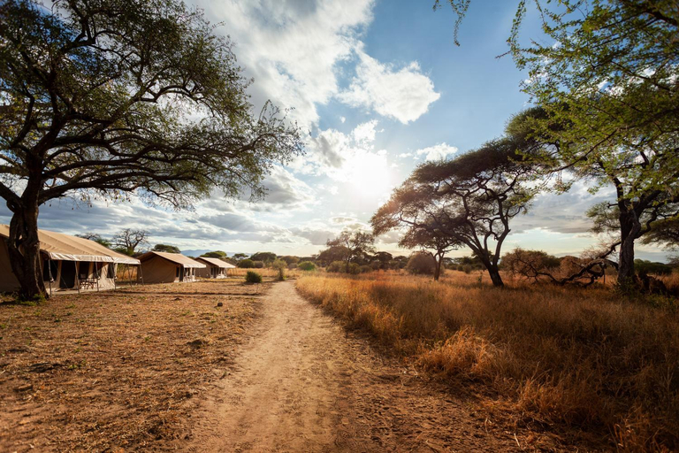 Others 2, Baobab Tented Camp, Babati