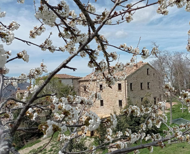 Others 4, Bed and Breakfast Ballallaluna, Pesaro E Urbino