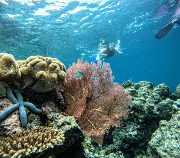 Others 3, GAM BAY bungalow's, Raja Ampat