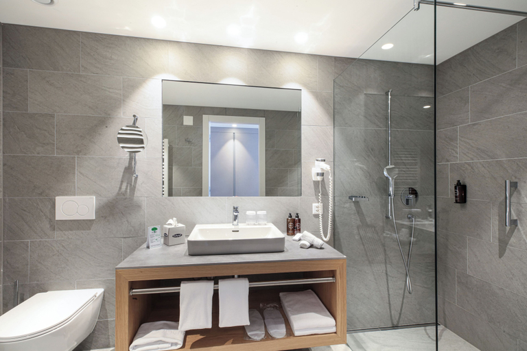 Bathroom 5, Hotel Lago Maggiore, Locarno
