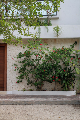 Exterior & Views 2, Akasha Villas Tulum, Cozumel