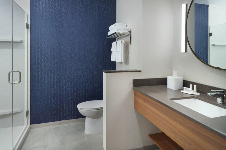 Bathroom 3, Fairfield by Marriott Inn & Suites Athens-University Area, Clarke