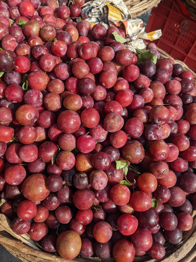 Food & Drinks 4, NamaStay Himalayas! KANATAL, Tehri Garhwal