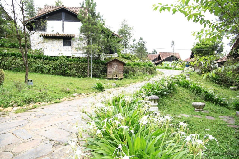 Others 5, Joy Villa Sapa, Sa Pa