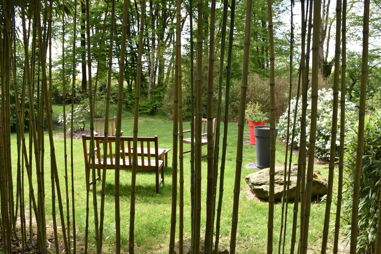Others 5, Le bois du drillais, Vendée