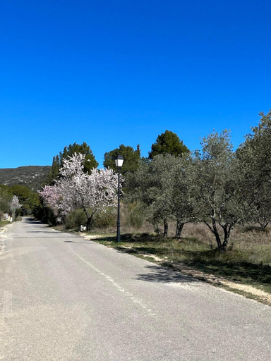 Others 5, Les jardins de la Graviere a 5 mn de Lourmarin avec piscine privee, Vaucluse