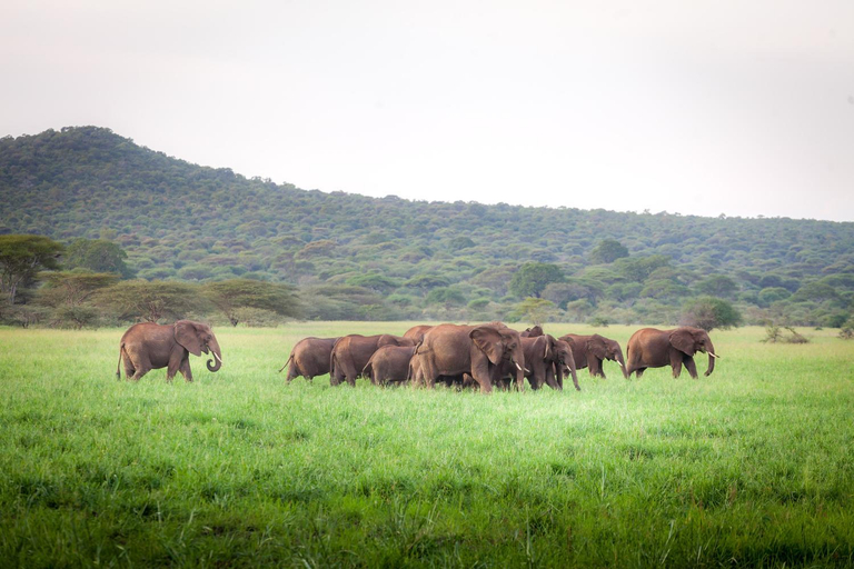 Others 5, Baobab Tented Camp, Babati