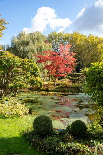 Others 5, Le Domaine de Courances - Pierres d'Histoire, Essonne
