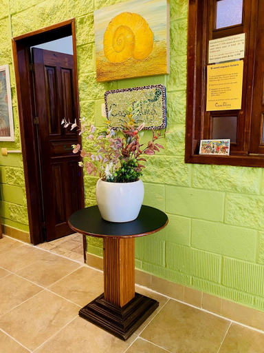Others 4, Casa Palma Hotel, Cozumel