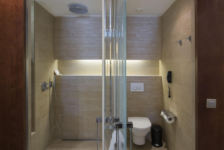 Bathroom 5, Barcelo Bavaro Palace, Salvaleon de Higuey