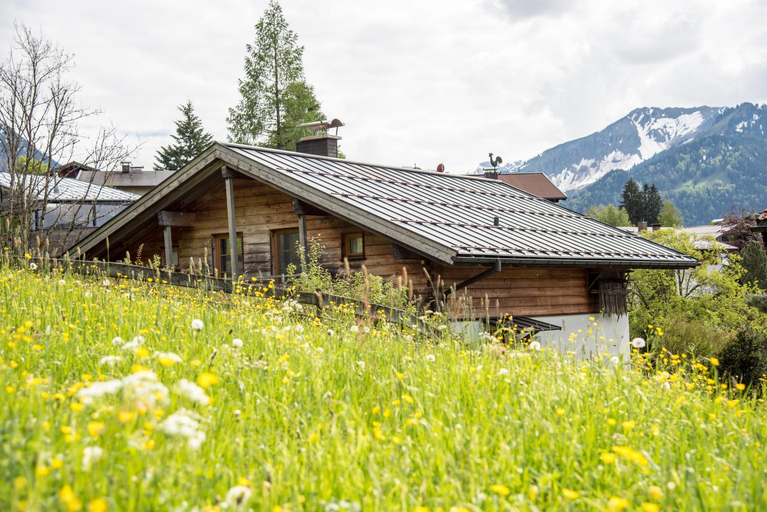 Others 4, Alpenhaus Oberstdorf - Bergbahn unlimited im Sommer inklusive, Oberallgäu