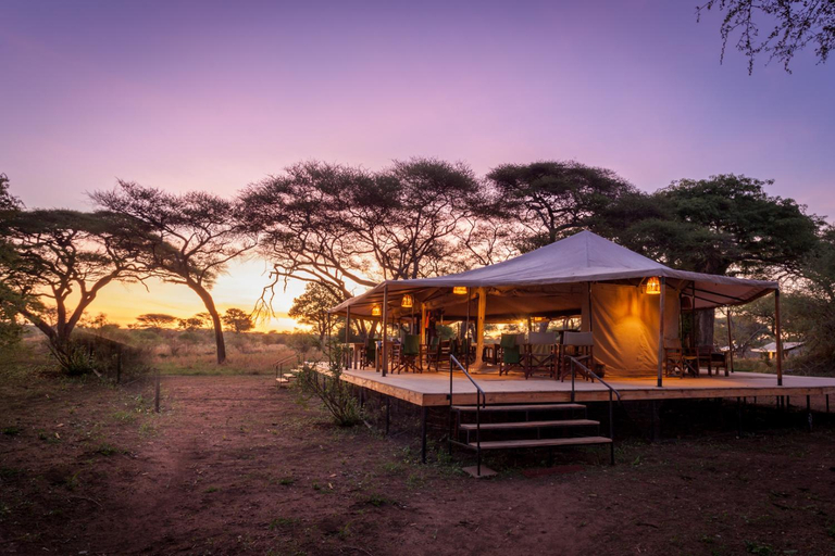 Others 4, Baobab Tented Camp, Babati