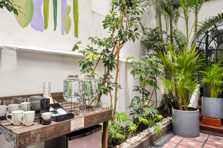 Food & Drinks, Santa Casa by Tasman, Mexico City