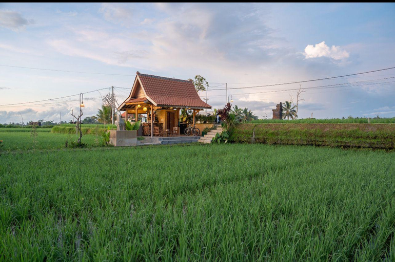 Public Area 2, The Patra Villa, Gianyar