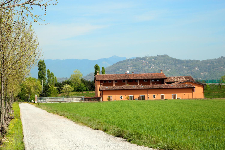 Others 5, Cascina Volta, Brescia