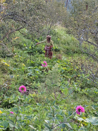 Others 2, NamaStay Himalayas! KANATAL, Tehri Garhwal