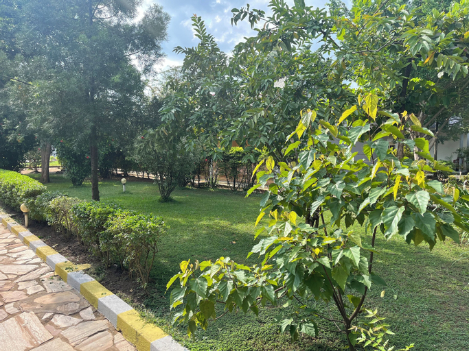 Scenery 11