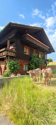 Others 2, Ferienhaus am Berg, Oberallgäu