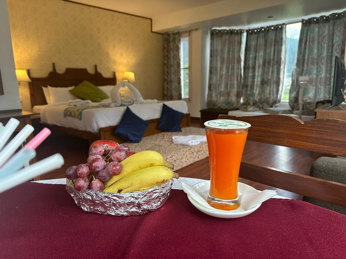 Food & Drinks 5, Hotel Mountview Pahalgam, Anantnag