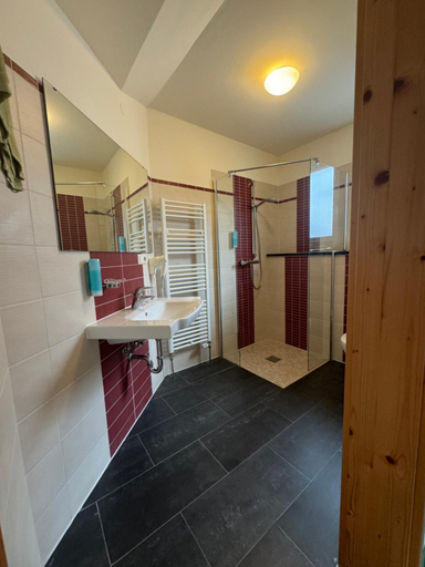 Bathroom 4, Landgasthof Hauser OHG, Tuttlingen