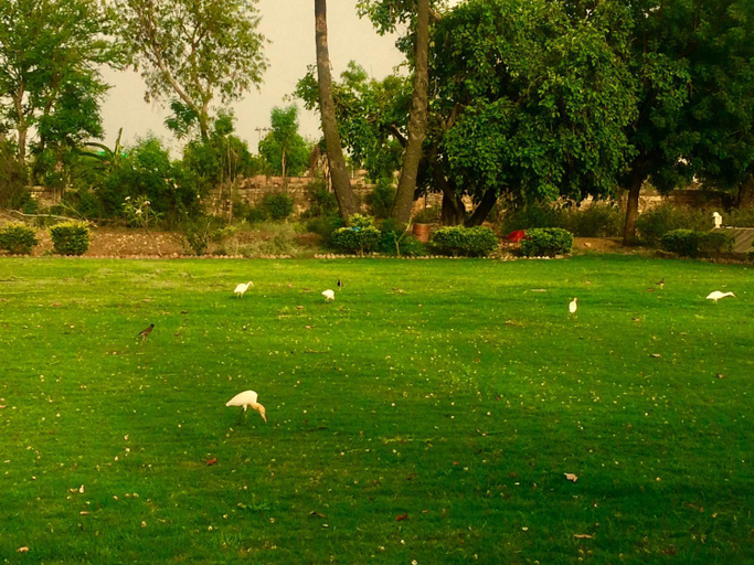 Others 3, Barabagh Deogarh - A Heritage Farm Stay, Rajsamand