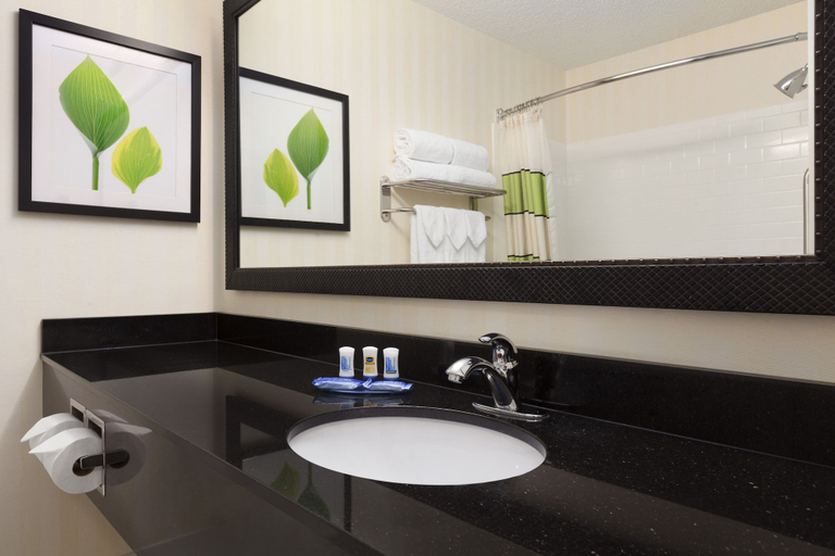 Bathroom 4, AmericInn by Wyndham Topeka, Shawnee