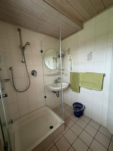 Bathroom 2, Landgasthof Hauser OHG, Tuttlingen