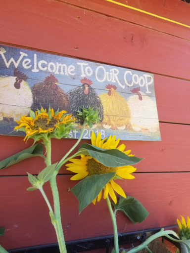 Others 4, Global Village Permaculture BnB, Okanagan-Similkameen