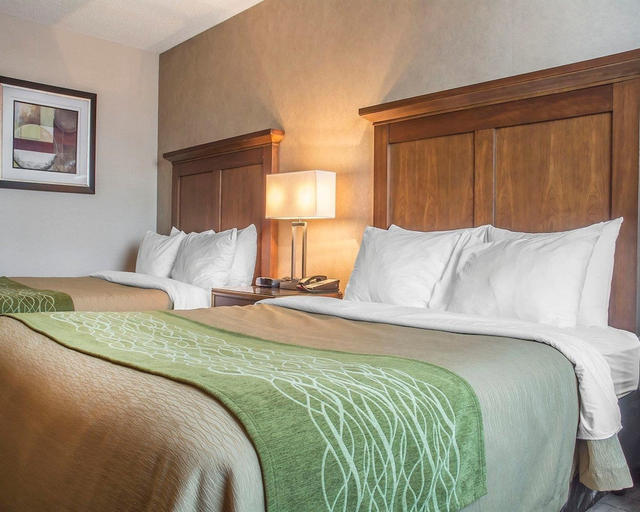 Bedroom 2, Comfort Inn, Northumberland