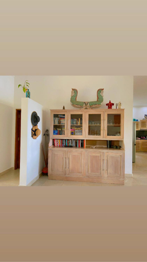 Others 5, Villa Saffraan Lovina, Buleleng