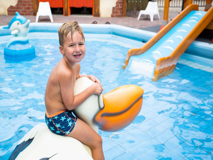 Pool 2, Cottage in Rhenen for 6 Person, Rhenen