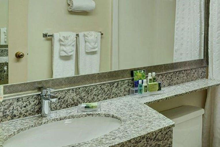 Bathroom 3, Lakeview Inn And Suites Thompson, Division No. 22