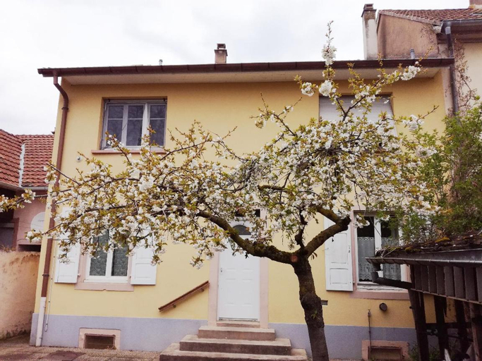 Appartement avec jardin a Colmar, Haut-Rhin
