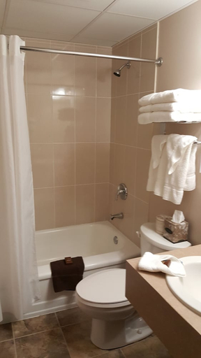 Bathroom 5, River Rapids Inn, Niagara
