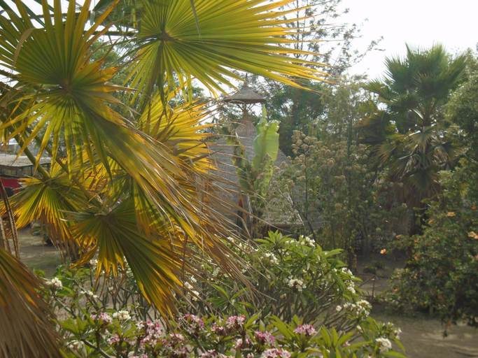 Others 4, Zion Train Lodge Shashemene, Mirab Arsi