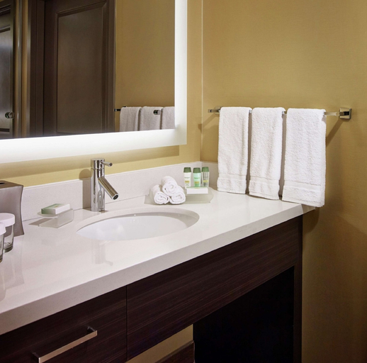 Bathroom 3, Homewood Suites by Hilton Hamilton, Ontario, Canada, Hamilton