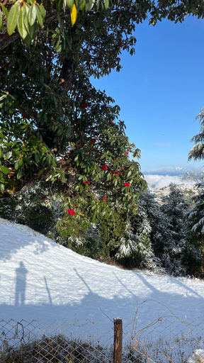 Others 5, Bagheecha Homestay, Tehri Garhwal