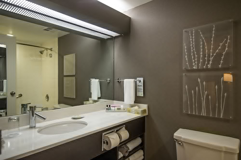 Bathroom 4, Cambridge Suites Hotel Halifax, Halifax