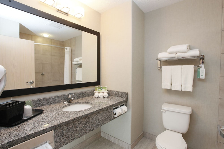 Bathroom 5, Holiday Inn Express GRANDE PRAIRIE, Division No. 19