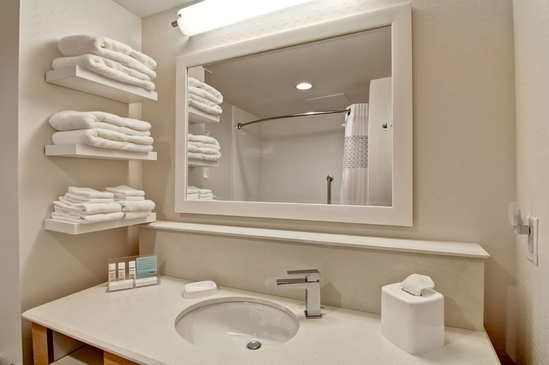 Bathroom 4, Hampton Inn & Suites by Hilton Saskatoon Airport, Division No. 11