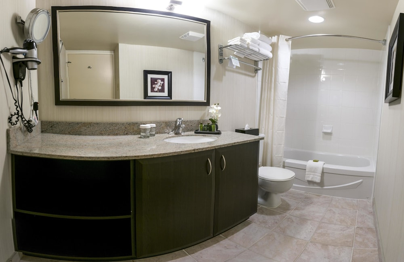 Bathroom 4, Les Suites Hotel Ottawa, Ottawa