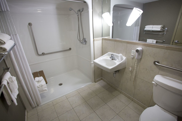 Bathroom 4, Falls Hotel and Inn, Niagara