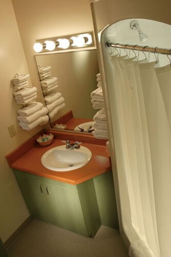 Bathroom, Hotel Sheridan College Residence, Peel